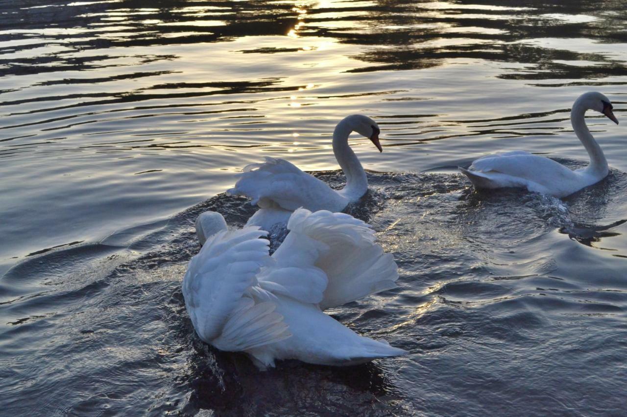 Apartmán Akwarela I Krakov Exteriér fotografie