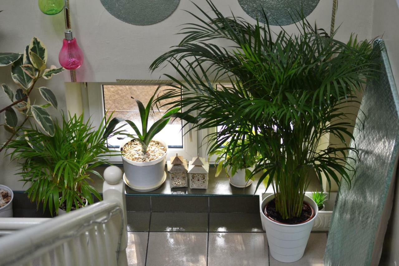 Apartmán Akwarela I Krakov Exteriér fotografie